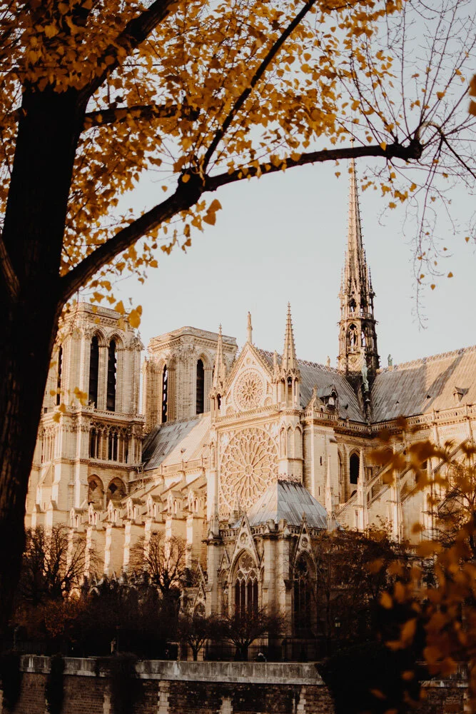 Notre Dame in Autumn Light (Copy)