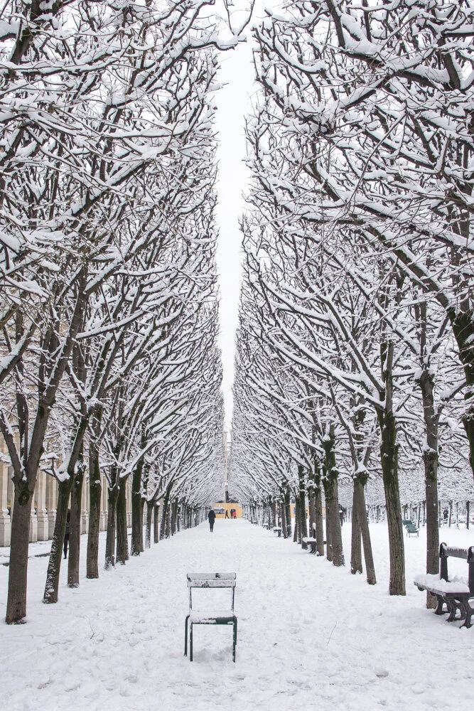 Palais Royal Under the Snow (Copy)