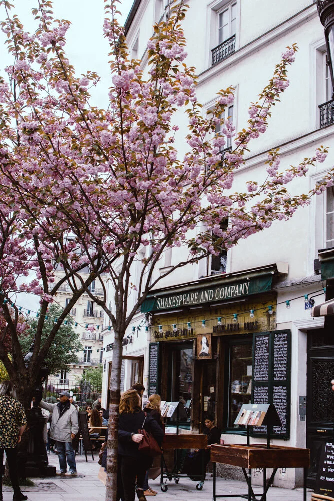 Spring in Paris (Copy)