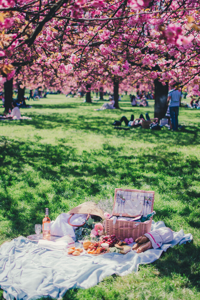 Spring Picnic in Paris (Copy)