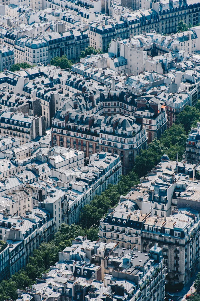 Paris from Above 2 (Copy)