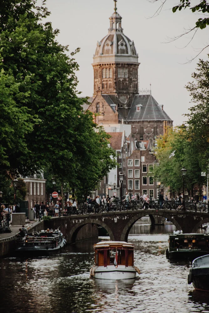 The Red Light District  (Copy)