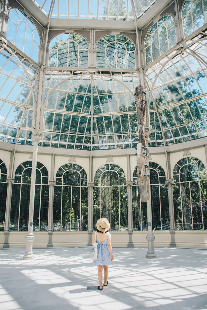 The Glass Palace  (Copy)