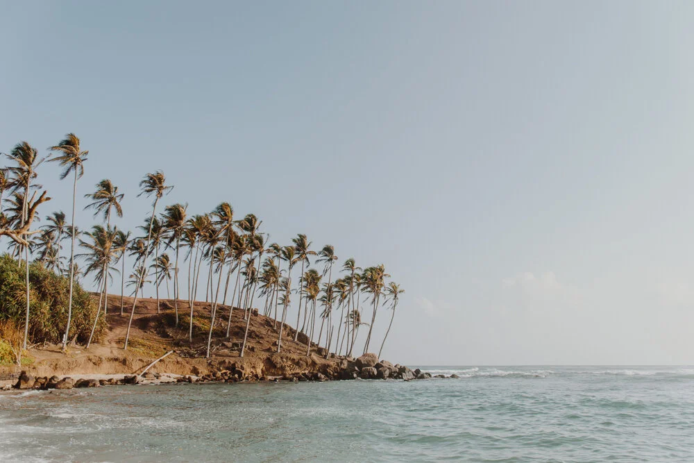 Palm Hill, Mirissa (Copy)