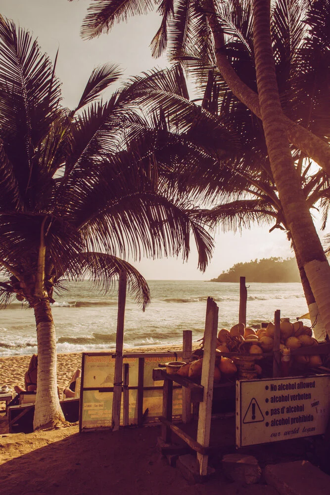 Coconut Evening (Copy)