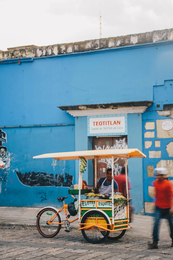 Food Stall in Oaxaca (Copy)