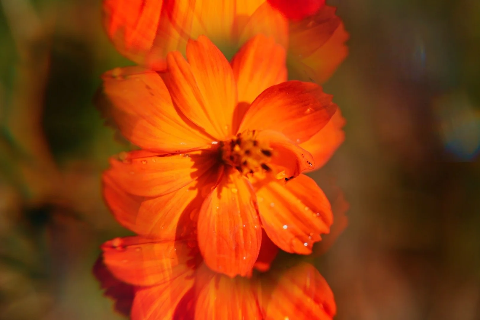 Ainsley DS Endometriosis content creator artist auckland nz