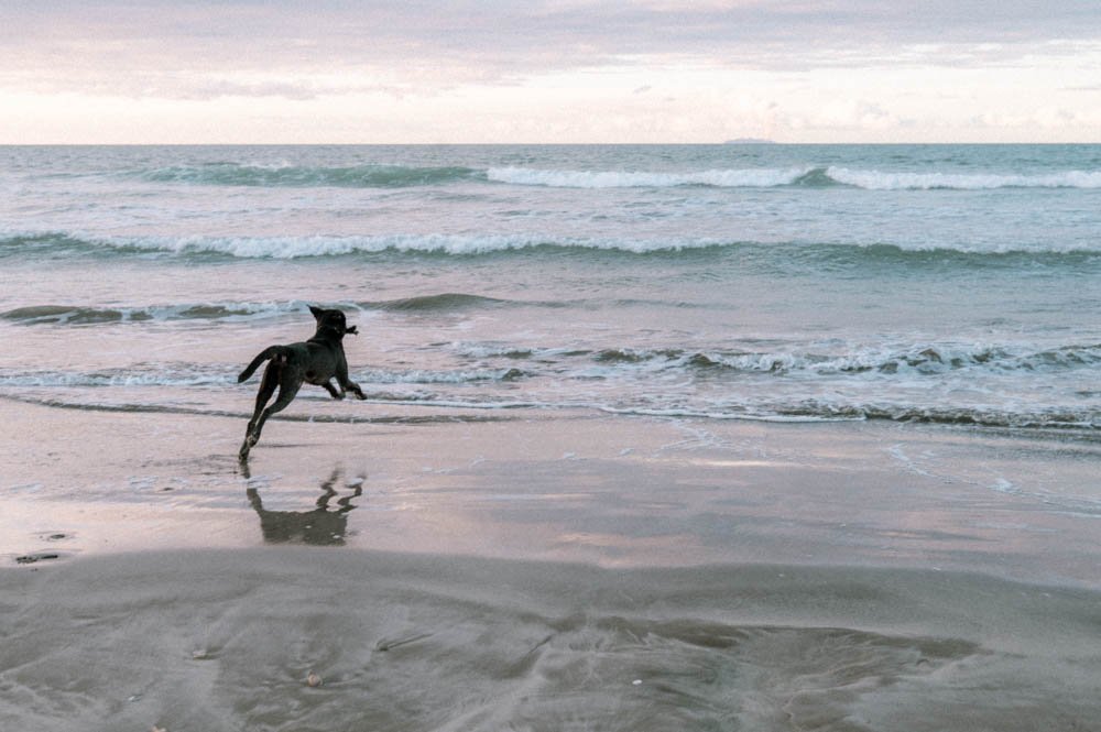 Living and thriving with chronic illness, how to help people struggling.