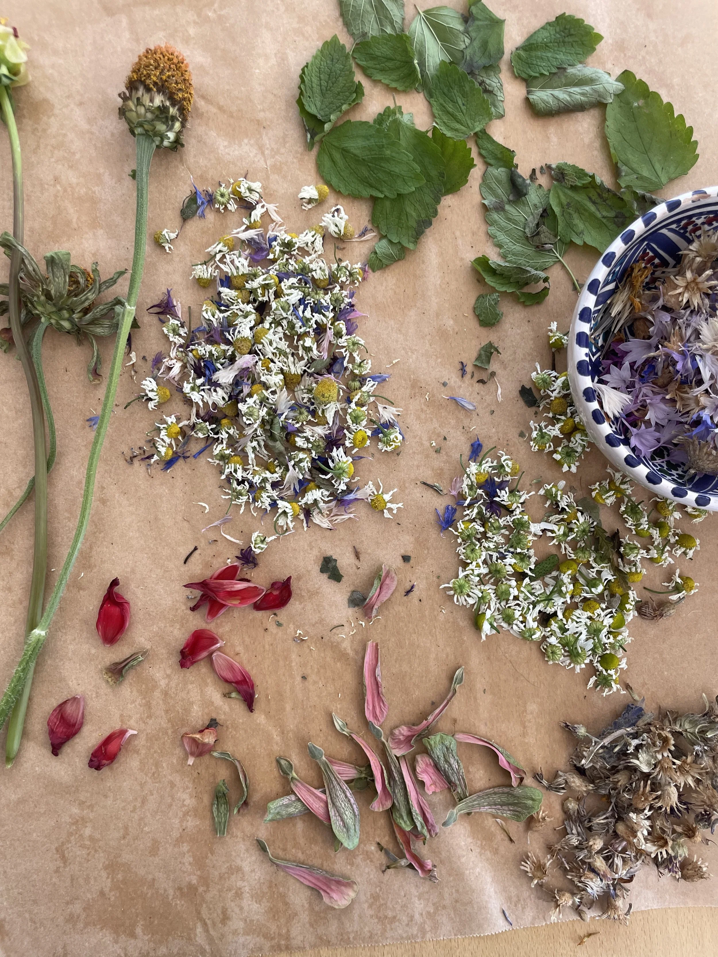 creative activities for chronically ill people Ainsley DS creative