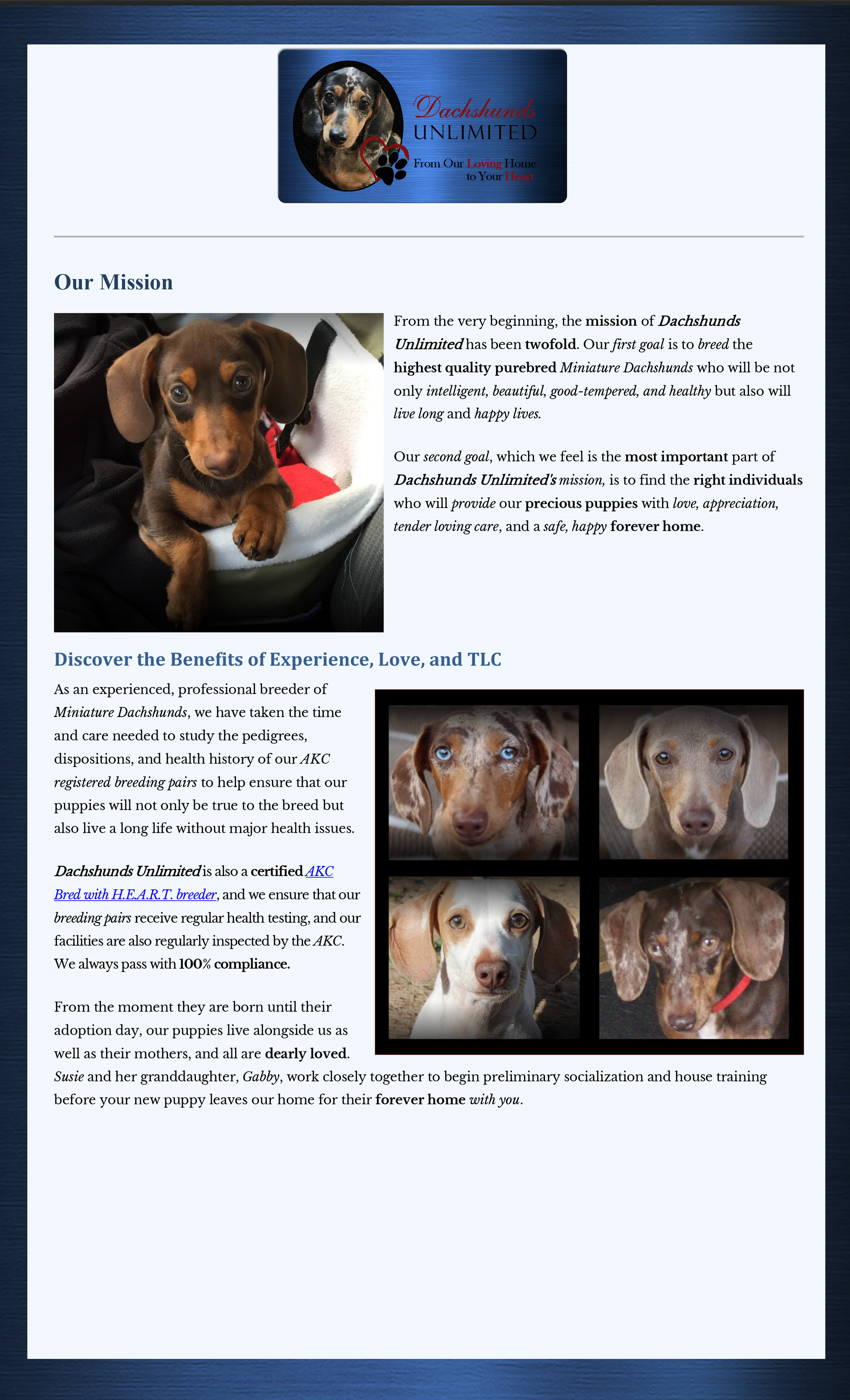 Dachshunds Unlimited Branding Story-Page-3.png