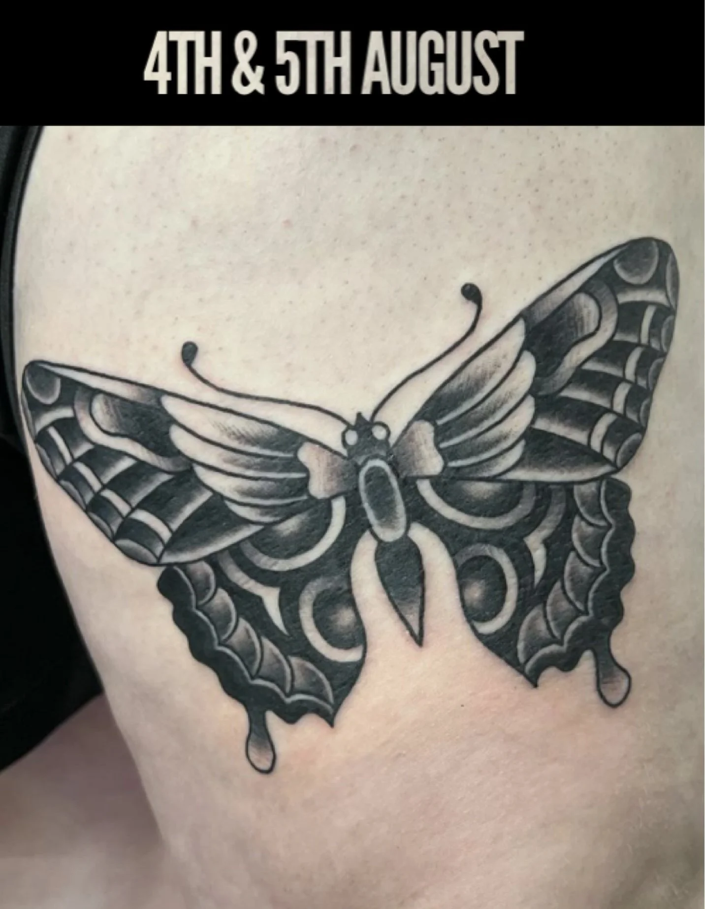 Guest Artist - Shed Wolf