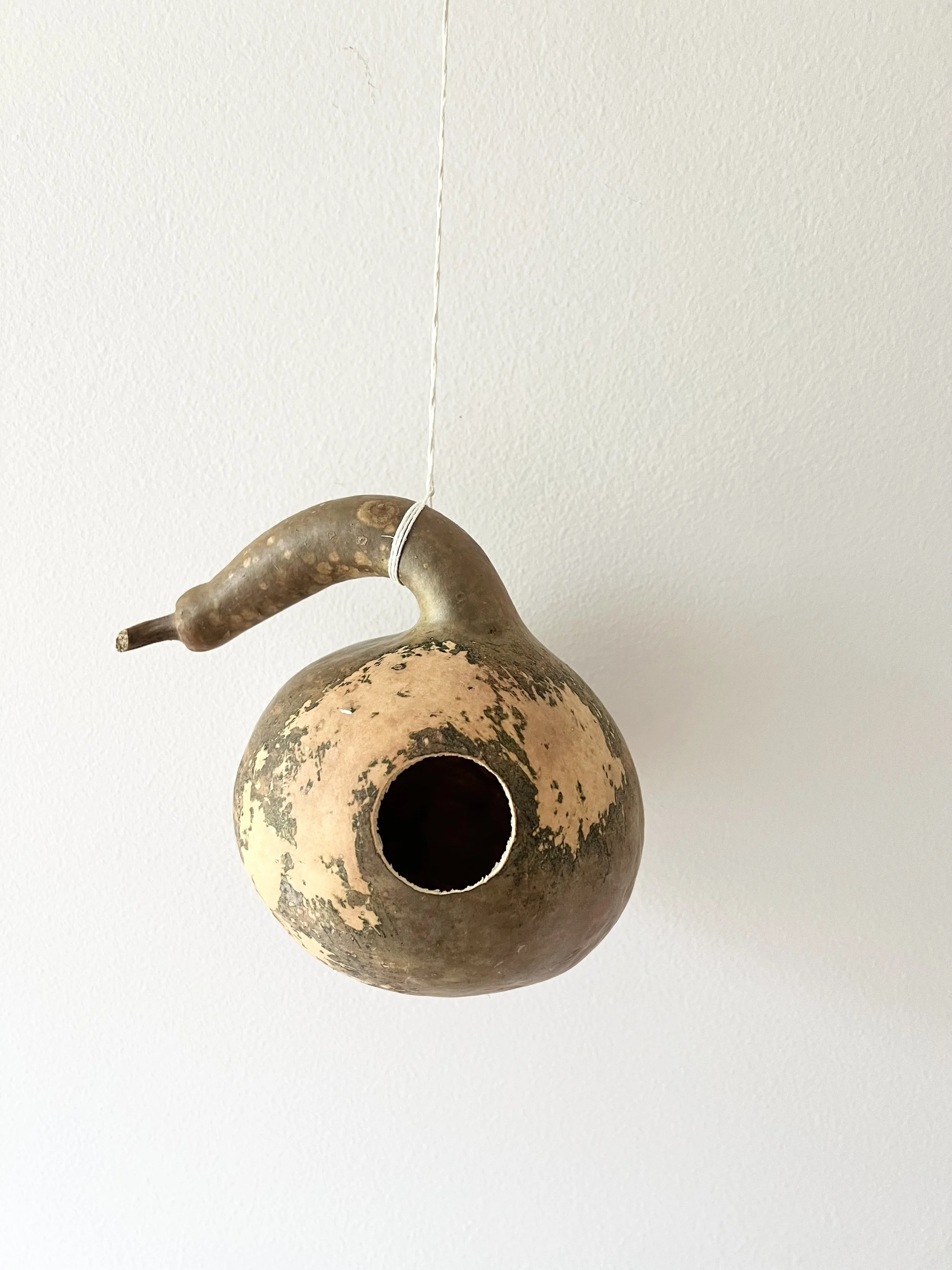 Gourd Birdhouse #3