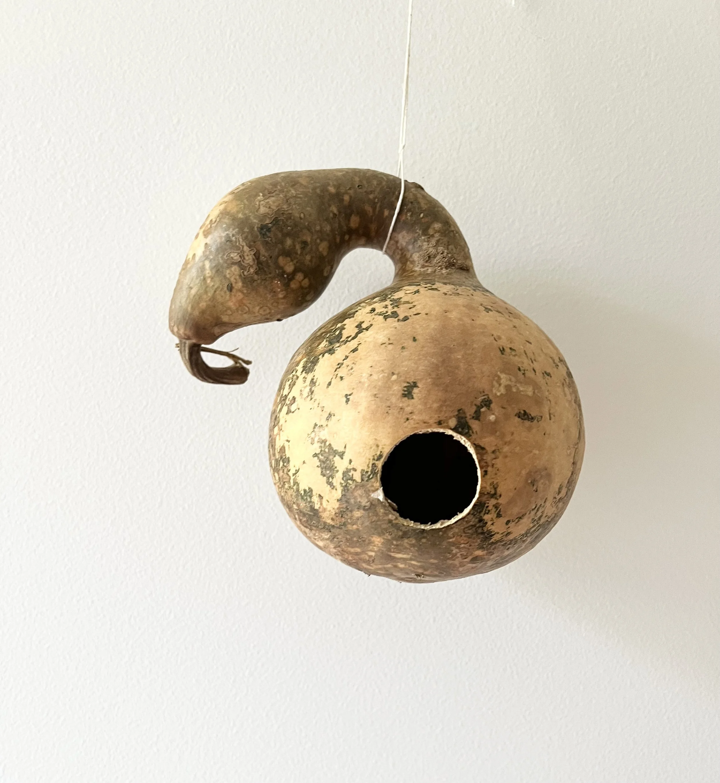 Gourd Birdhouse #4