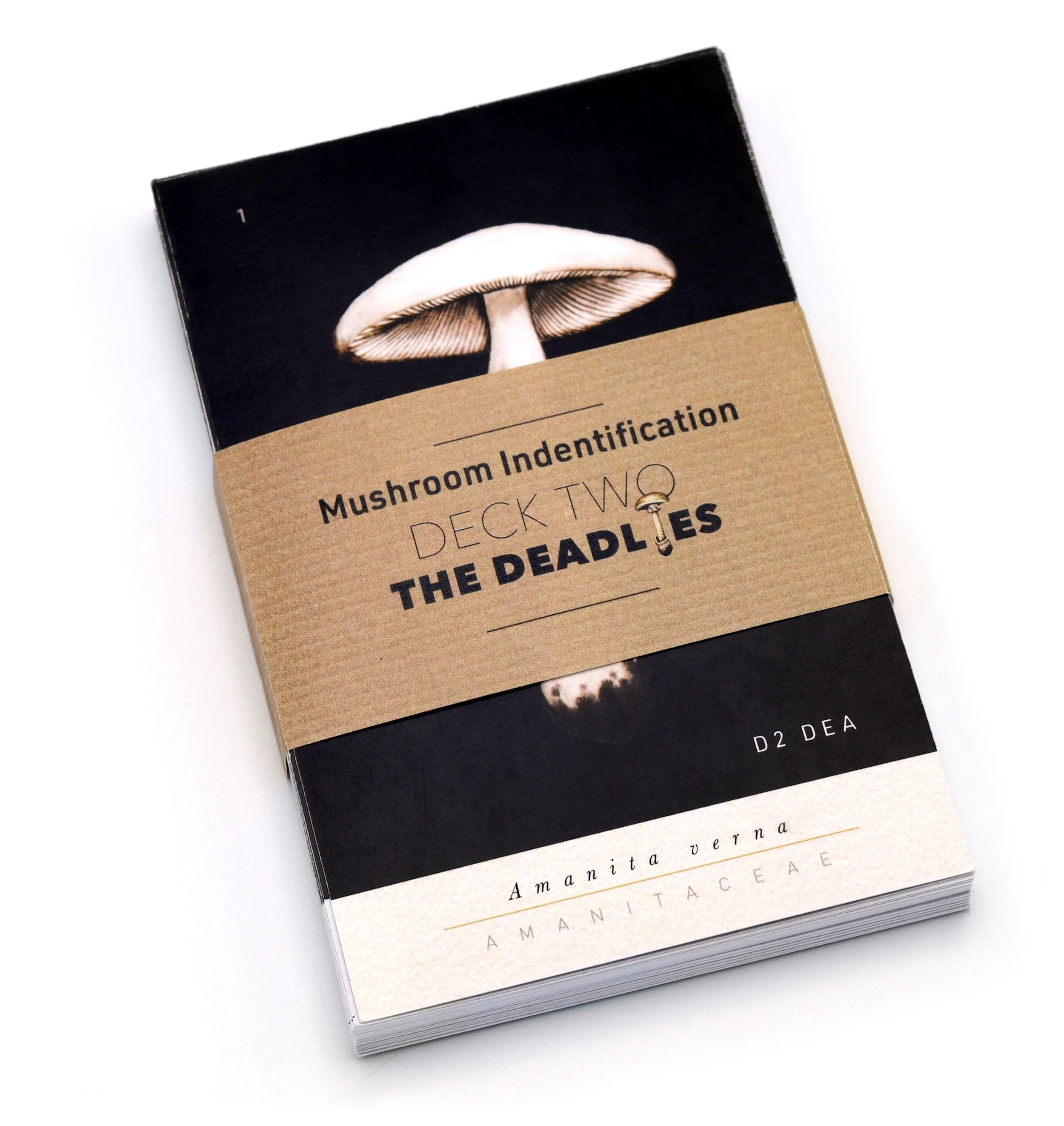 Mushroom Identification Dec 2: The Deadlies