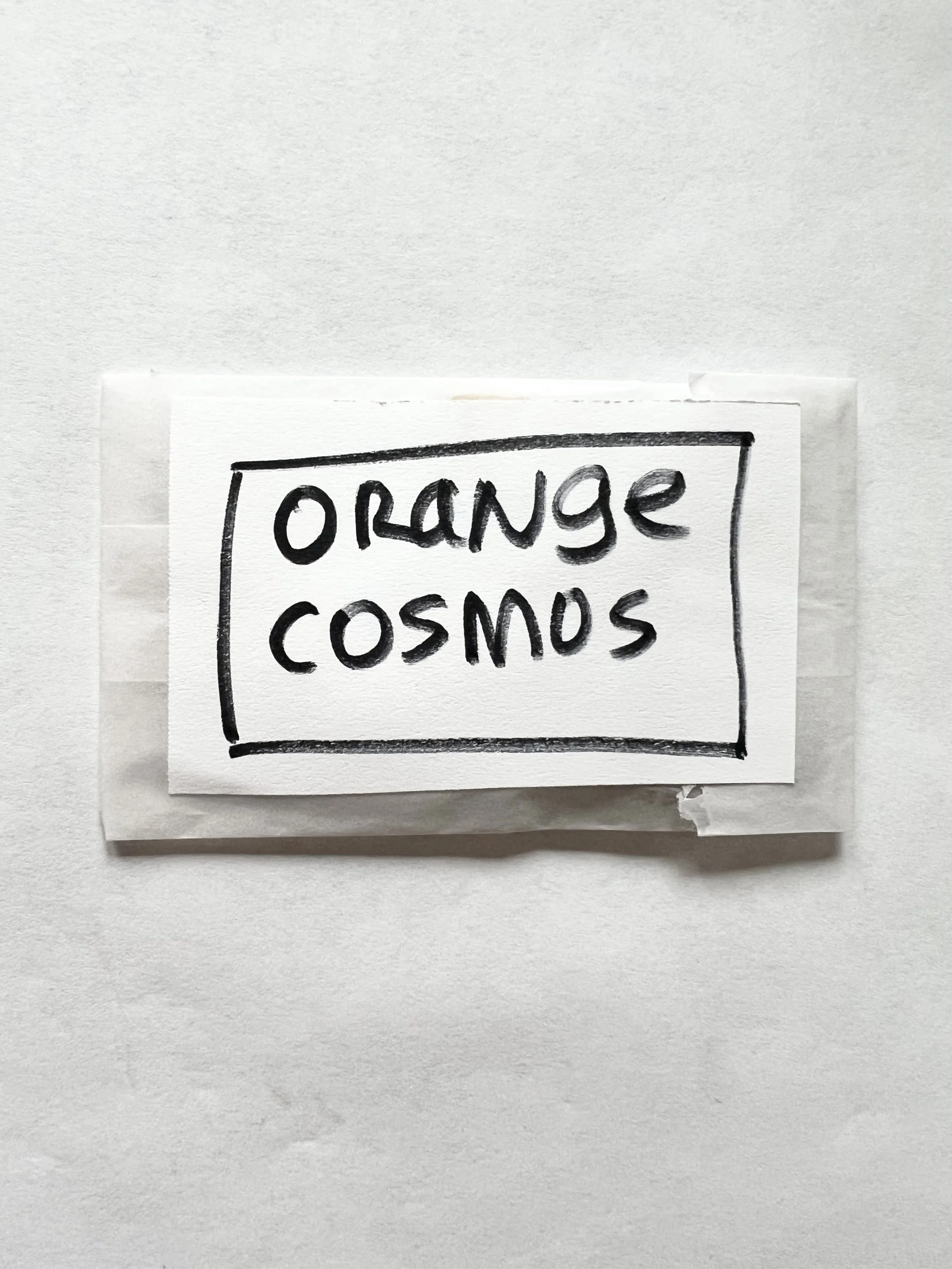 Organic Orange Cosmos seeds