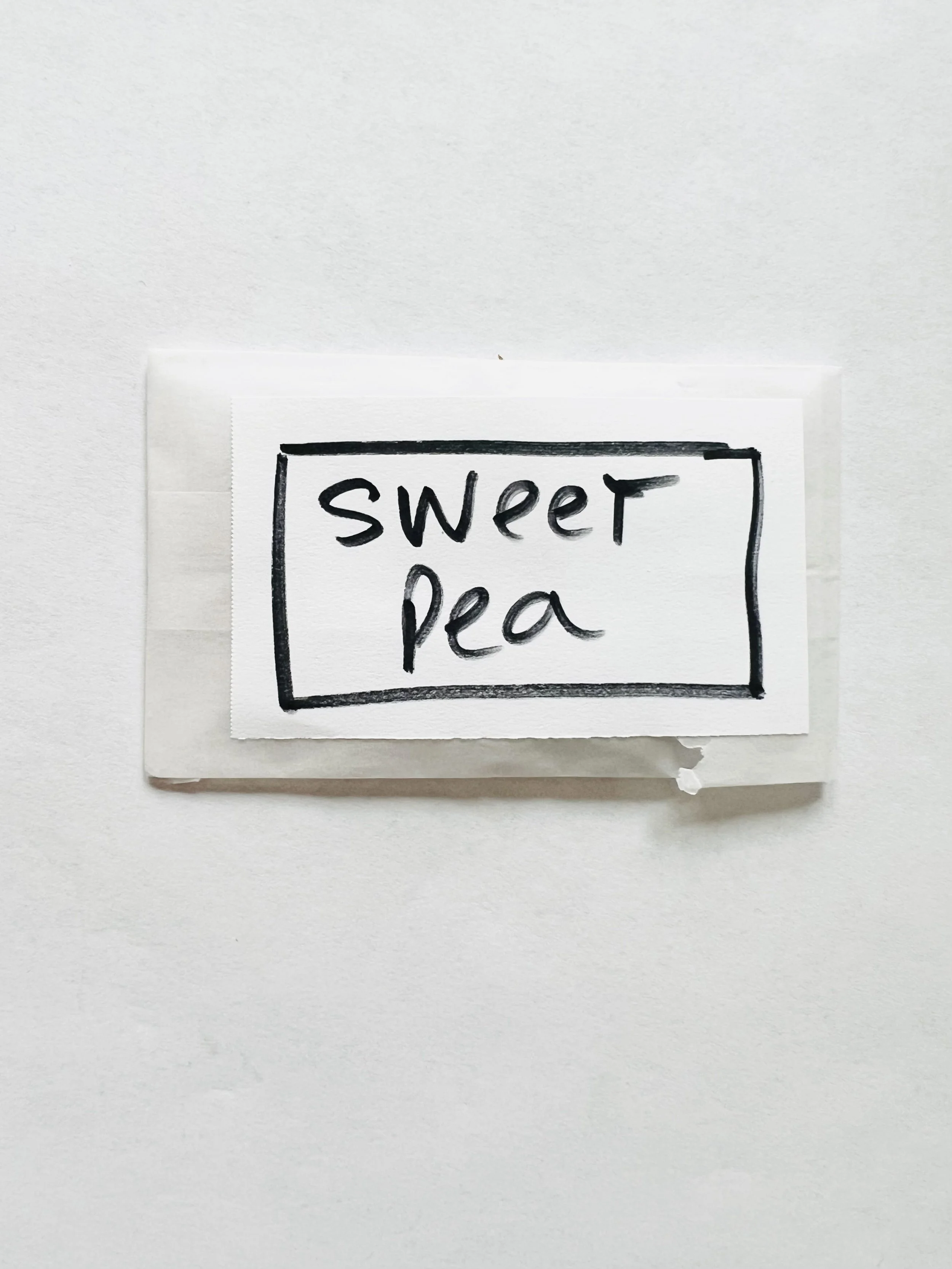 Organic Sweet Pea Seeds