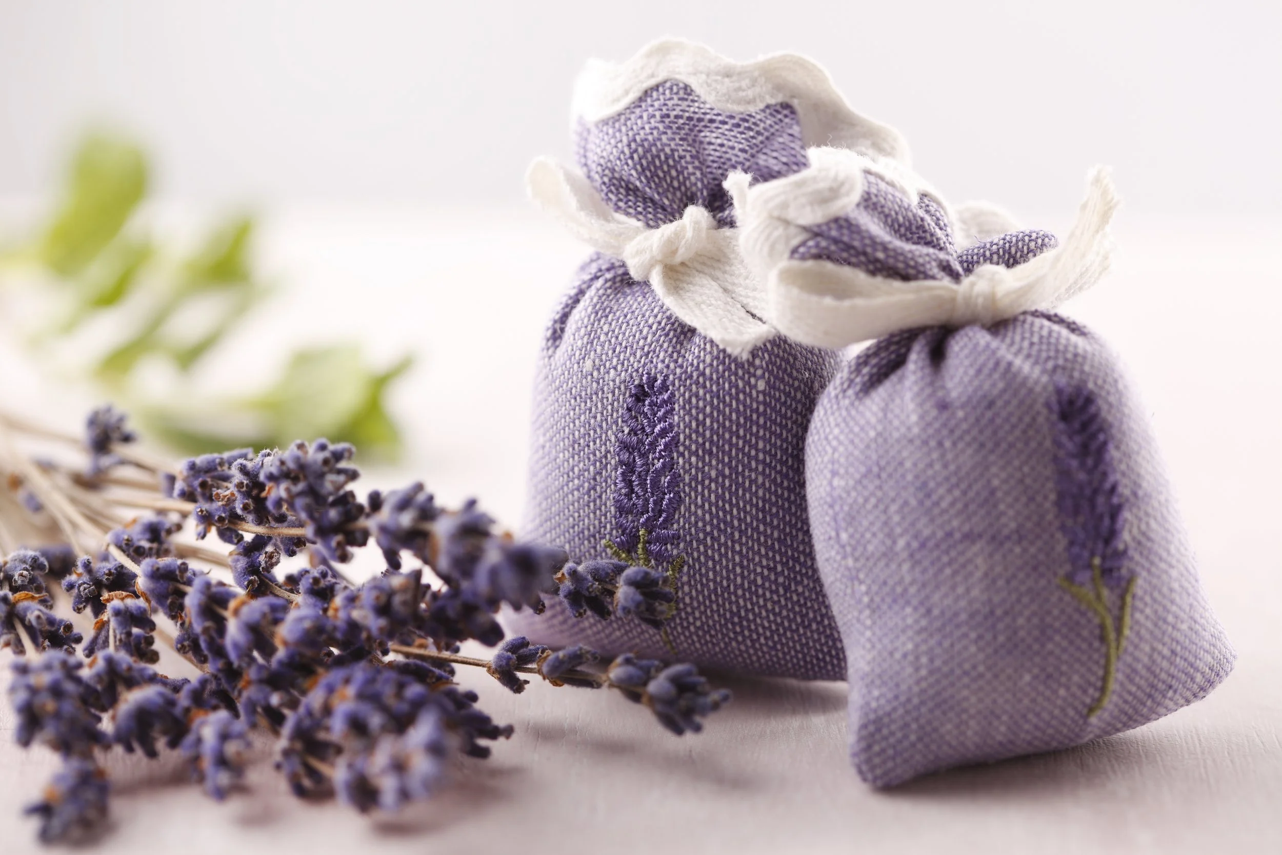 Online Abend: (Seelen)Düften und Heilkräutern auf der Spur