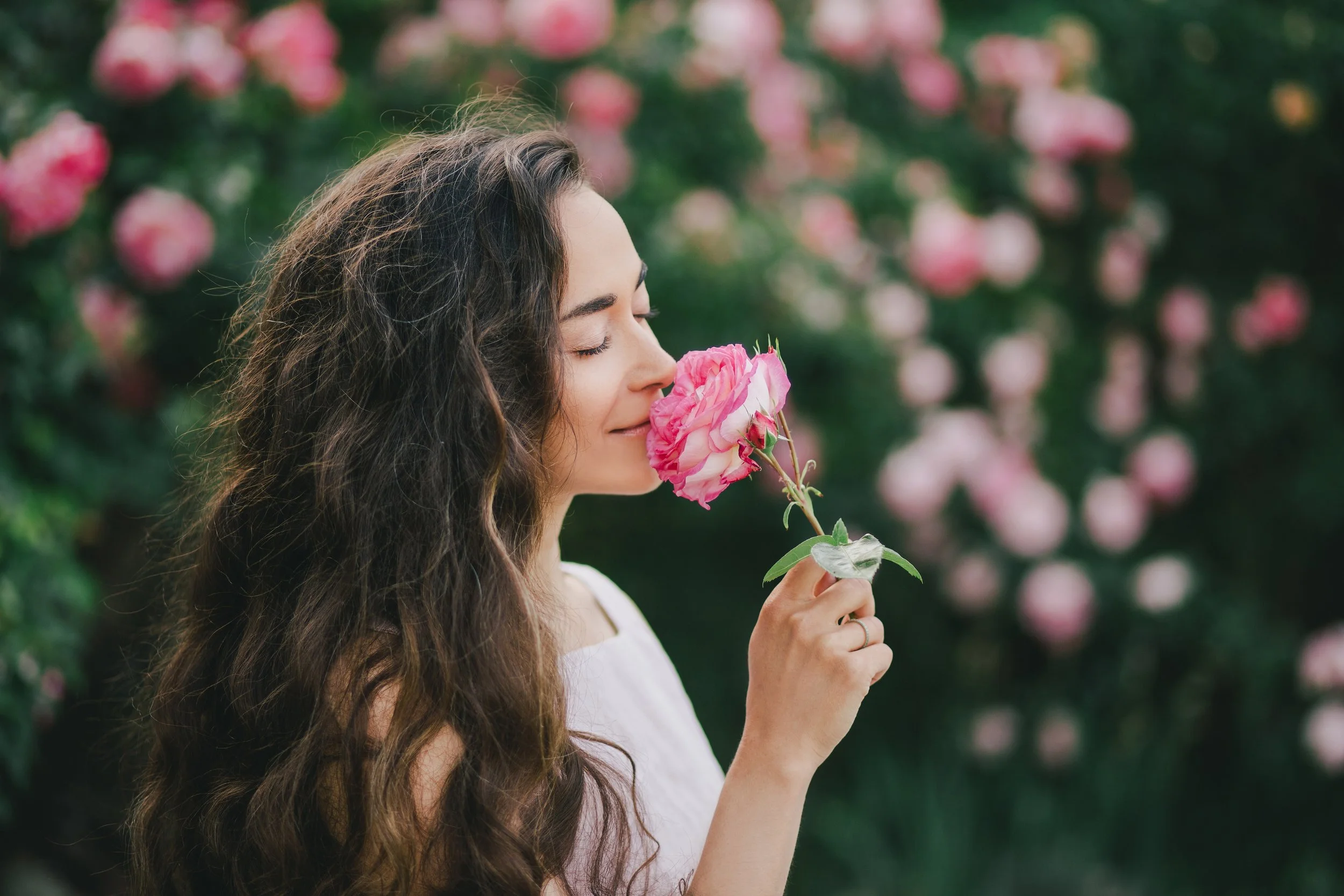 Frauenkreis: Weibliche Kraft – Wechseljahre