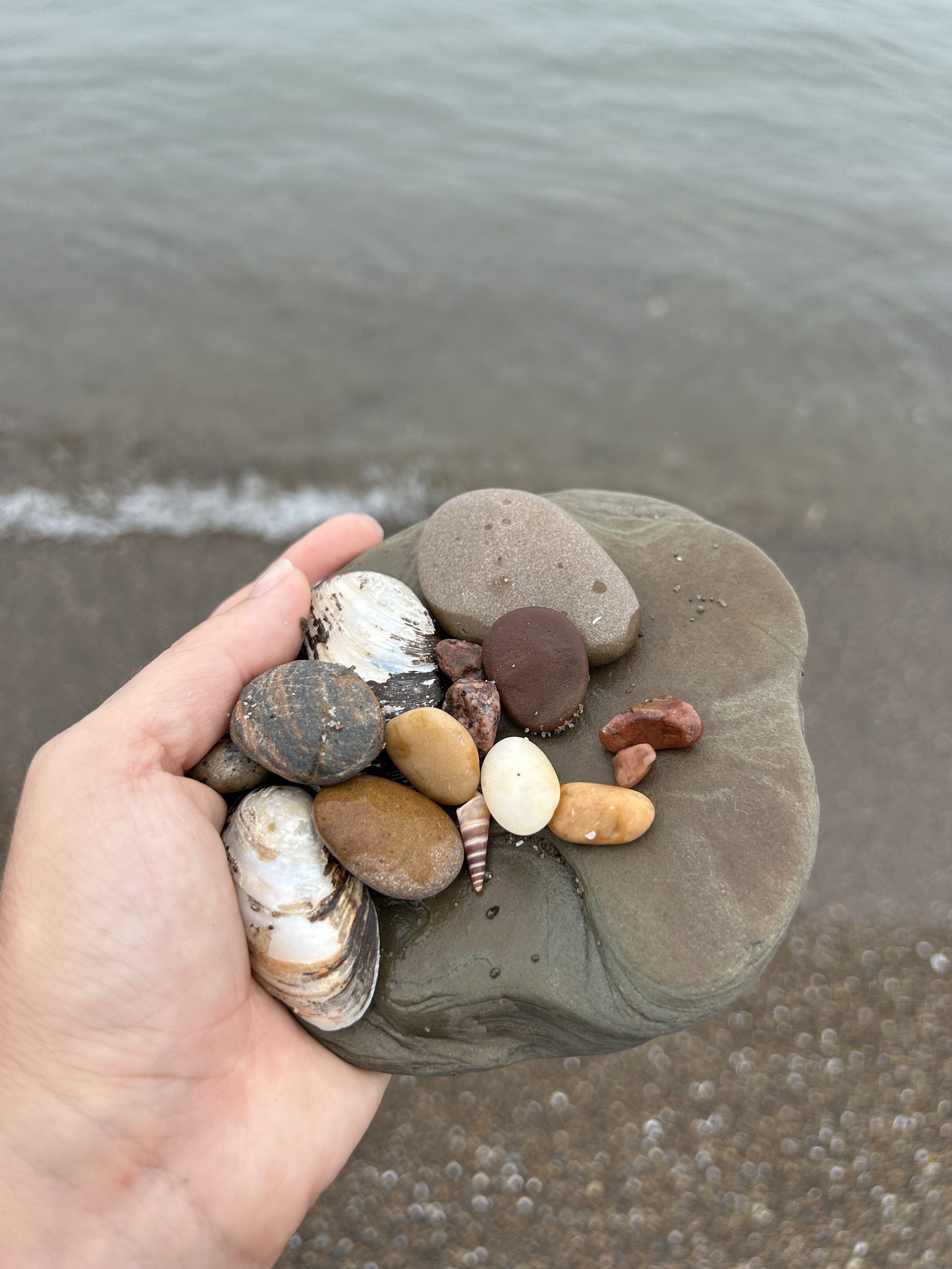 Treasures found on Presque Isle beach.JPG