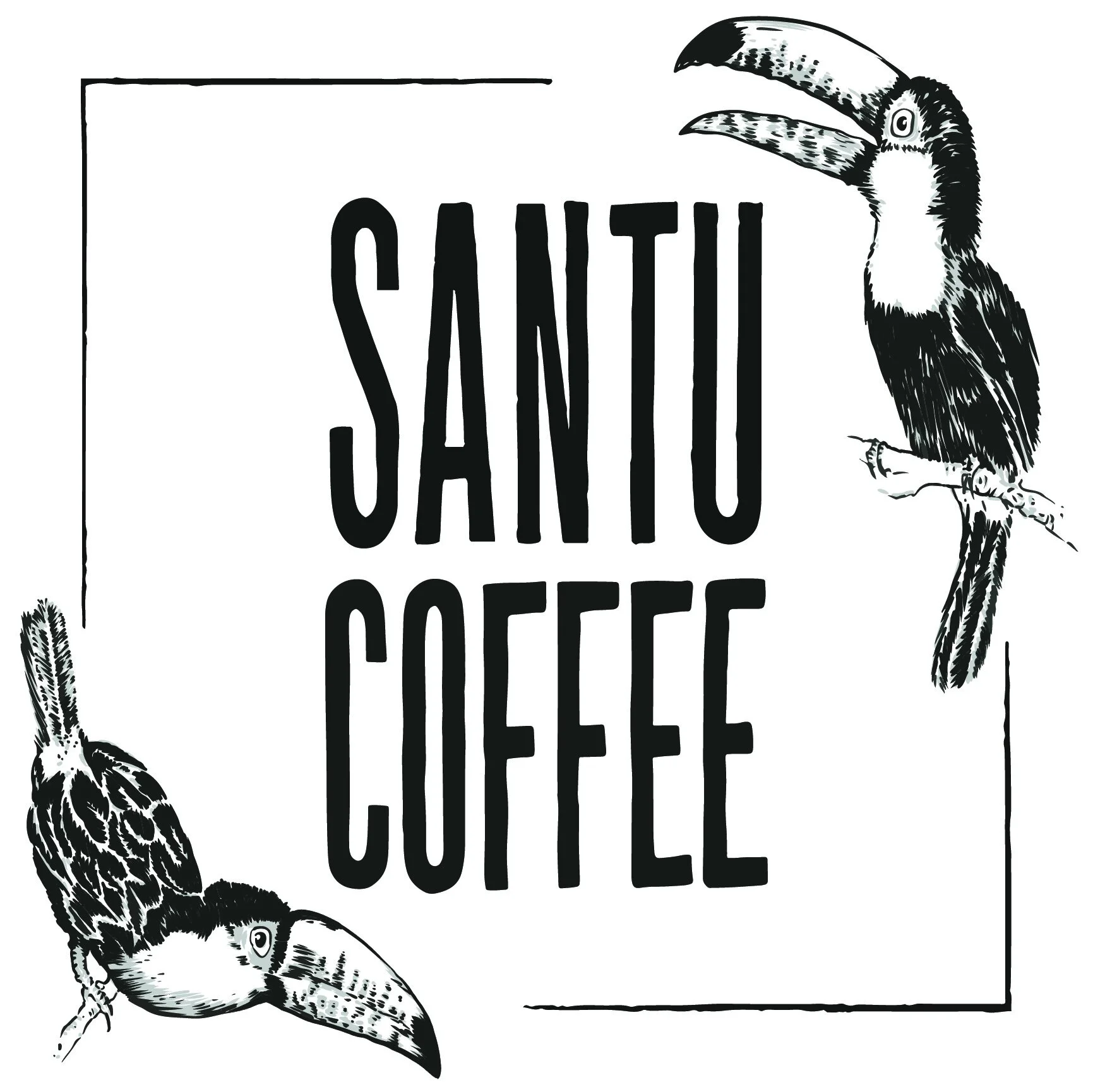 Black and white illustration of two toucans surrounding the text 'Santu Coffee'.