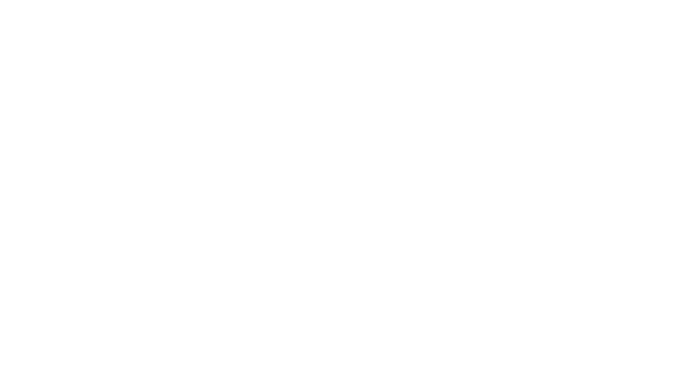 Cortez Consulting
