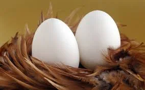 Eggs.jpg