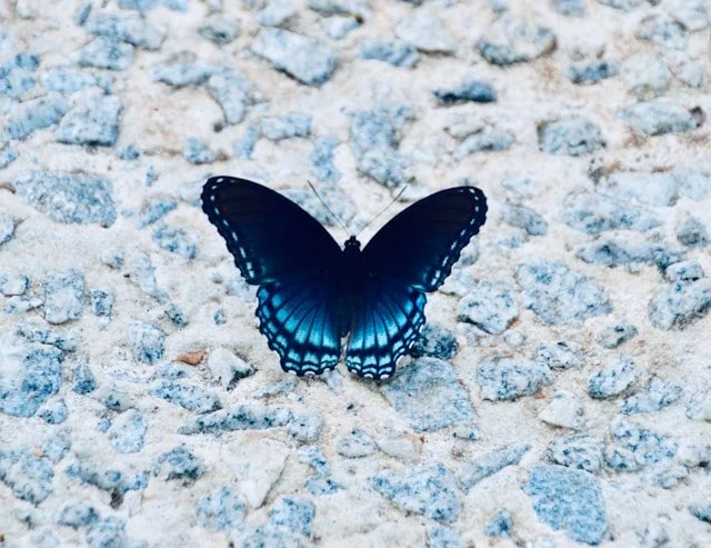 The Power of Synchronicity to Transform Your Life