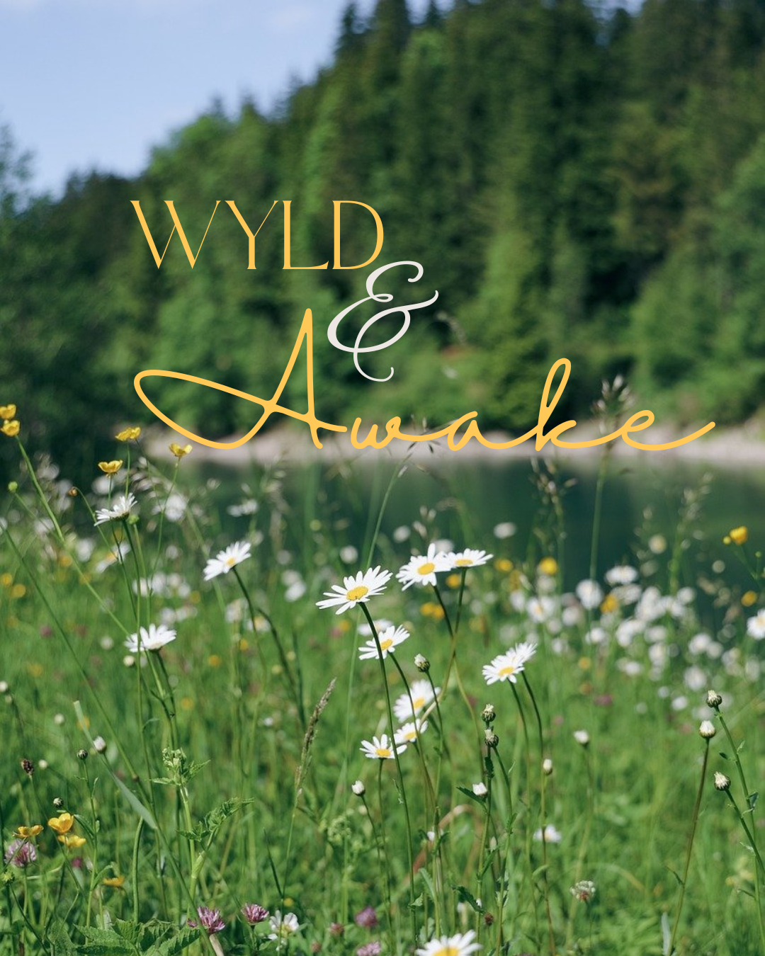 Wyld and Awake image.png