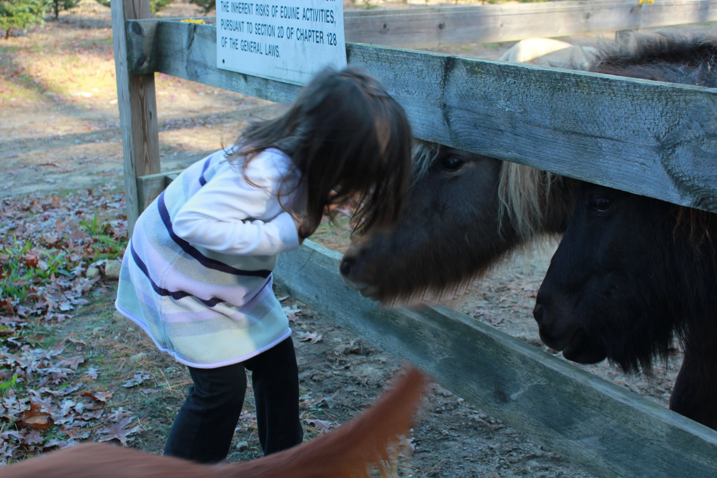 Madison kissing Rex with Jimmy waiting his turn