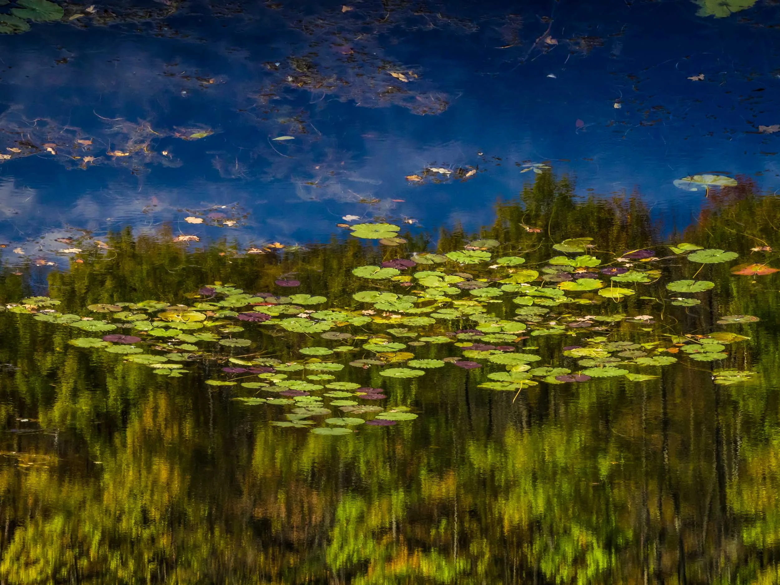 Poet's Landscape 0017