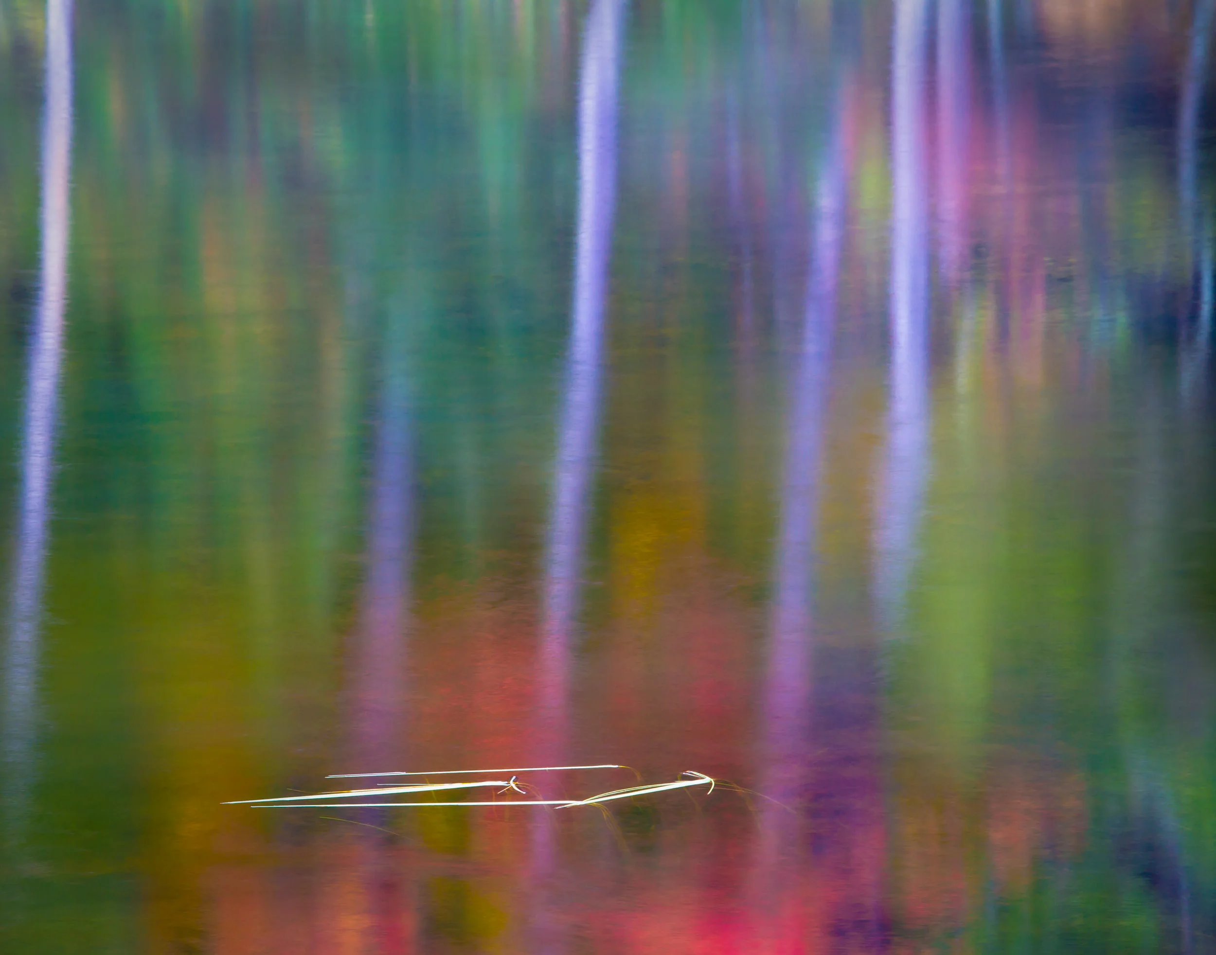 Autumn Mist Reflection, MI 0894