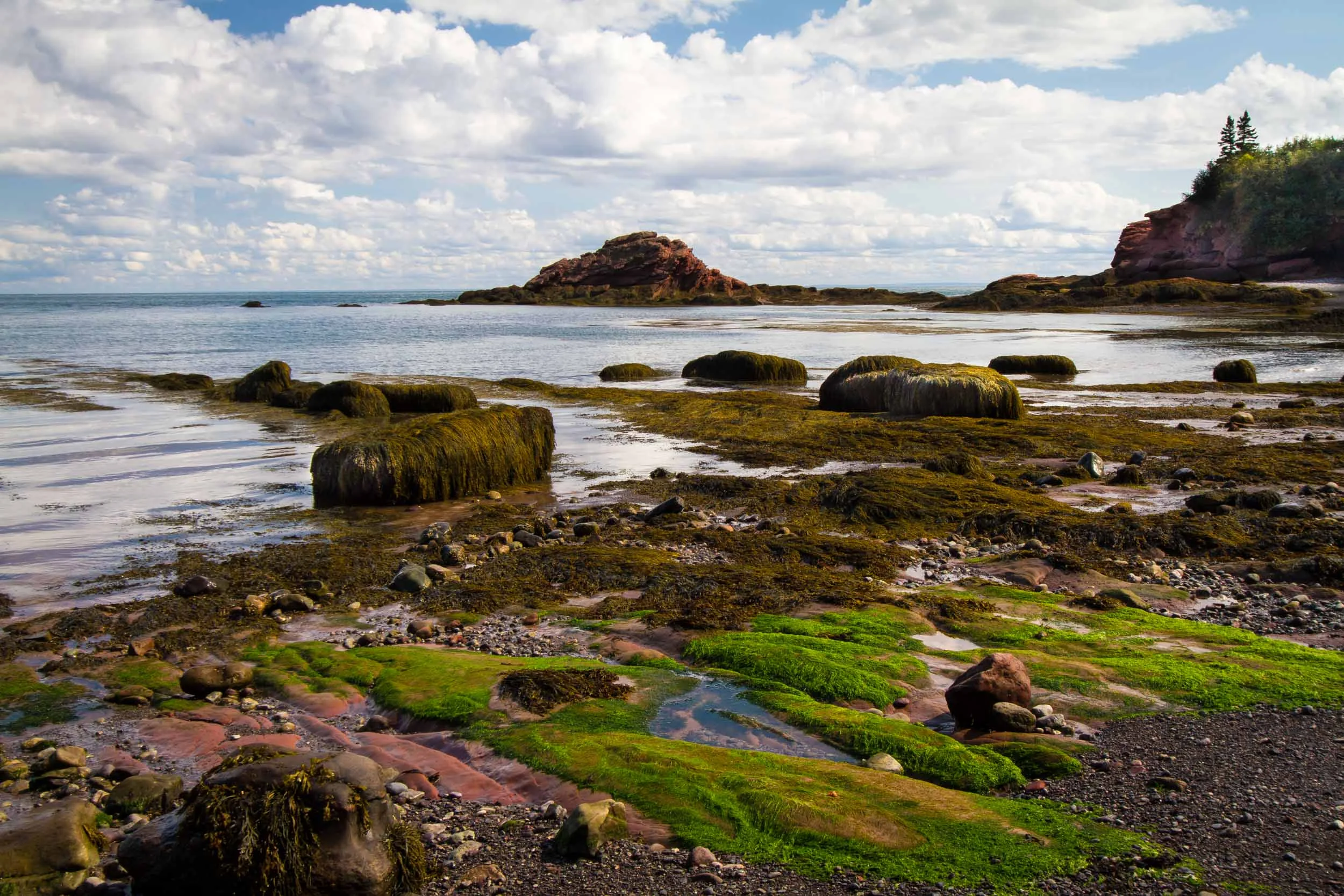 Brown's Beach, St Martins, New Brunswick 8561