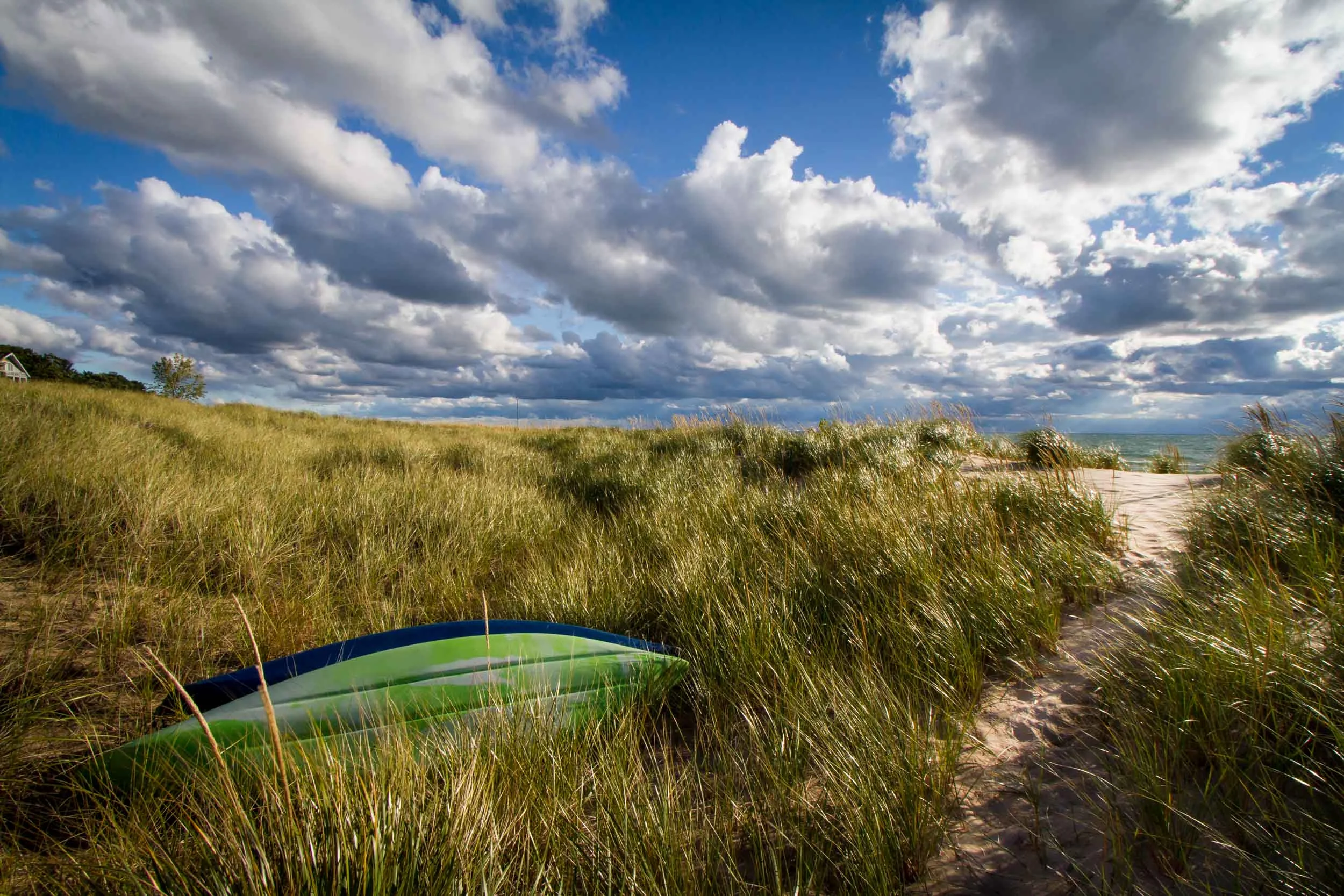 Silver Lake Sand Dunes, Michigan 0061