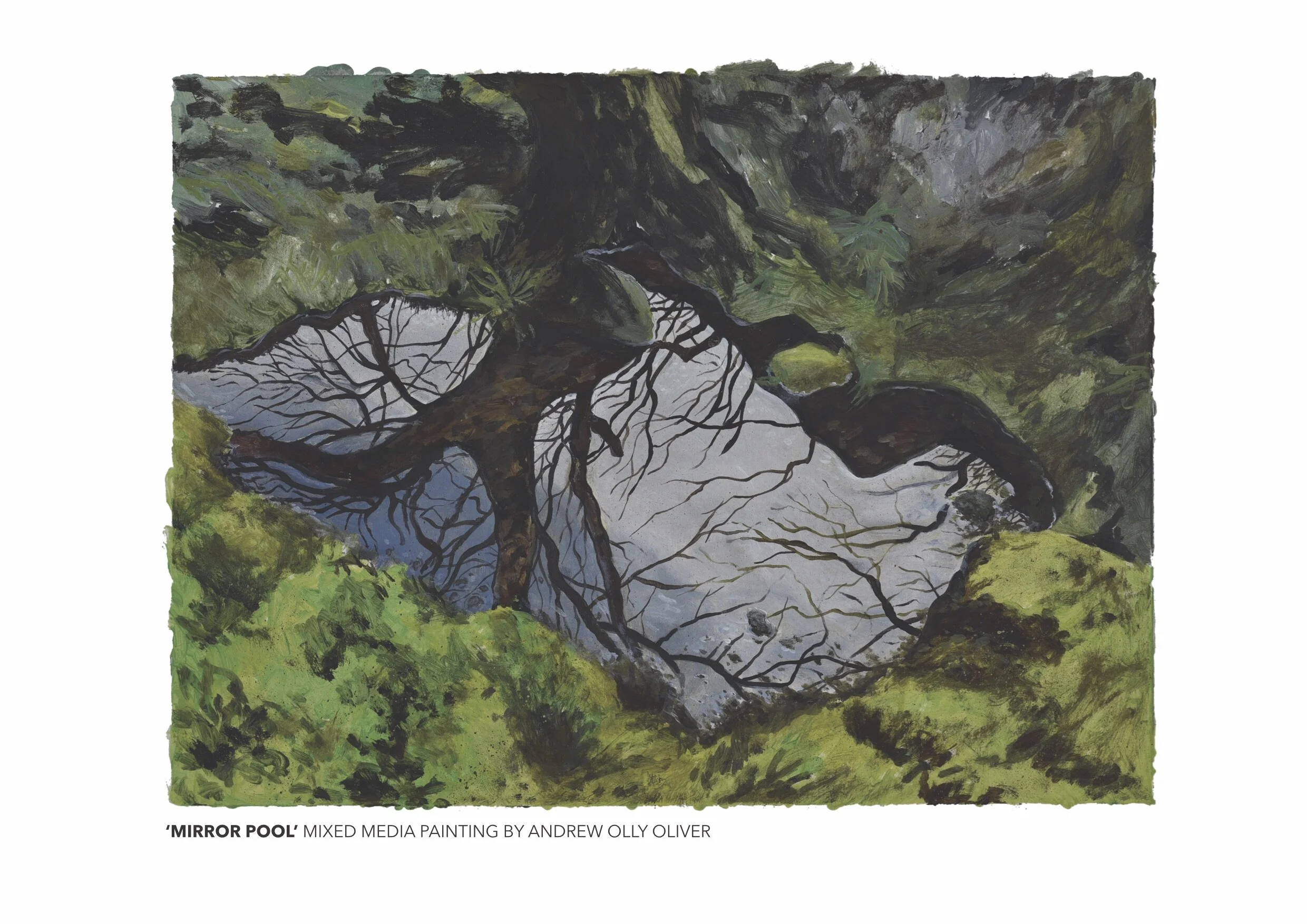 MIRROR POOL andrew olly oliver .jpg