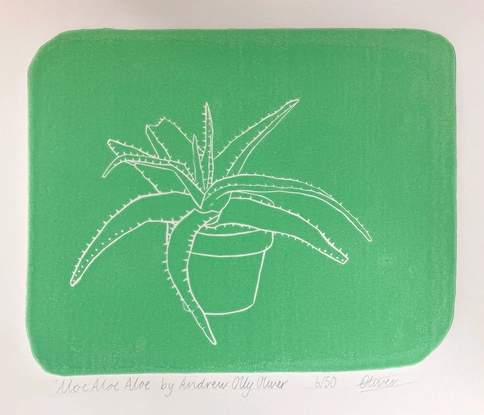 'Aloe Aloe Aloe' Lino Print by Andrew Olly Oliver.JPG