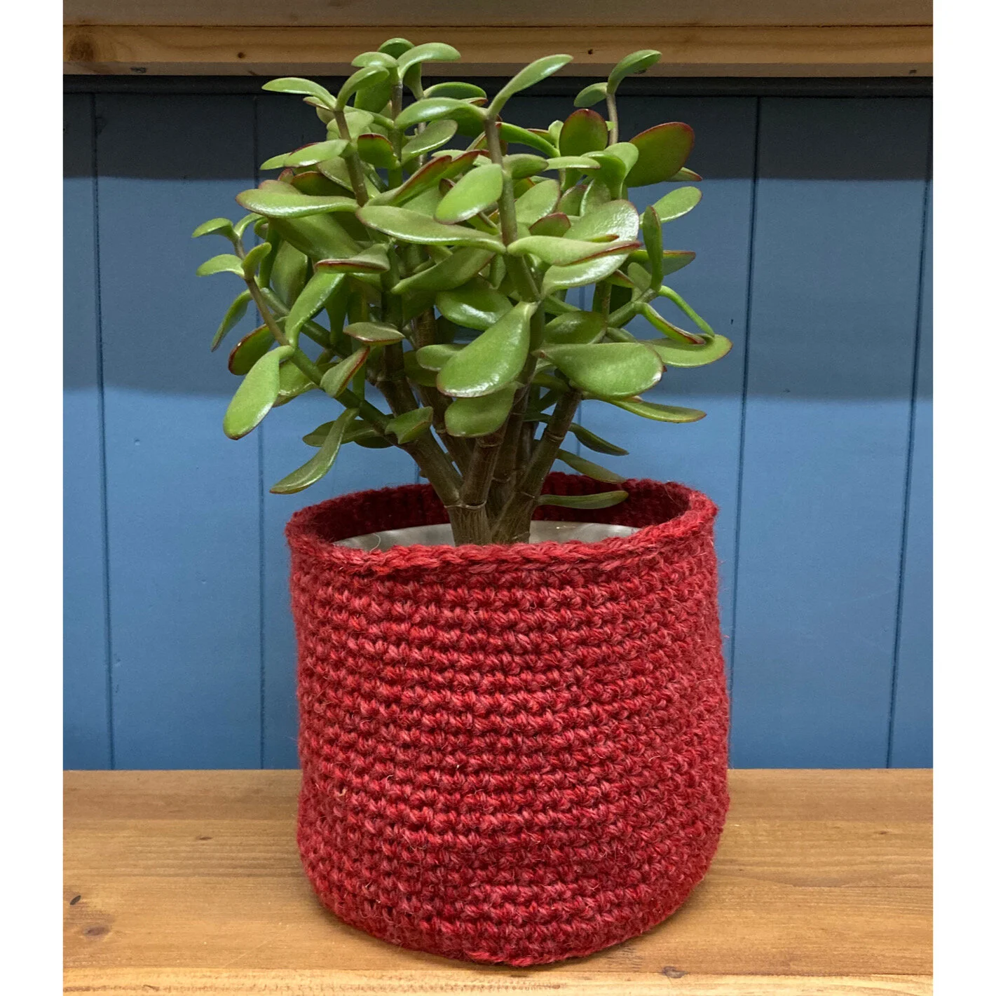 Whitagram-Image 168.JPG