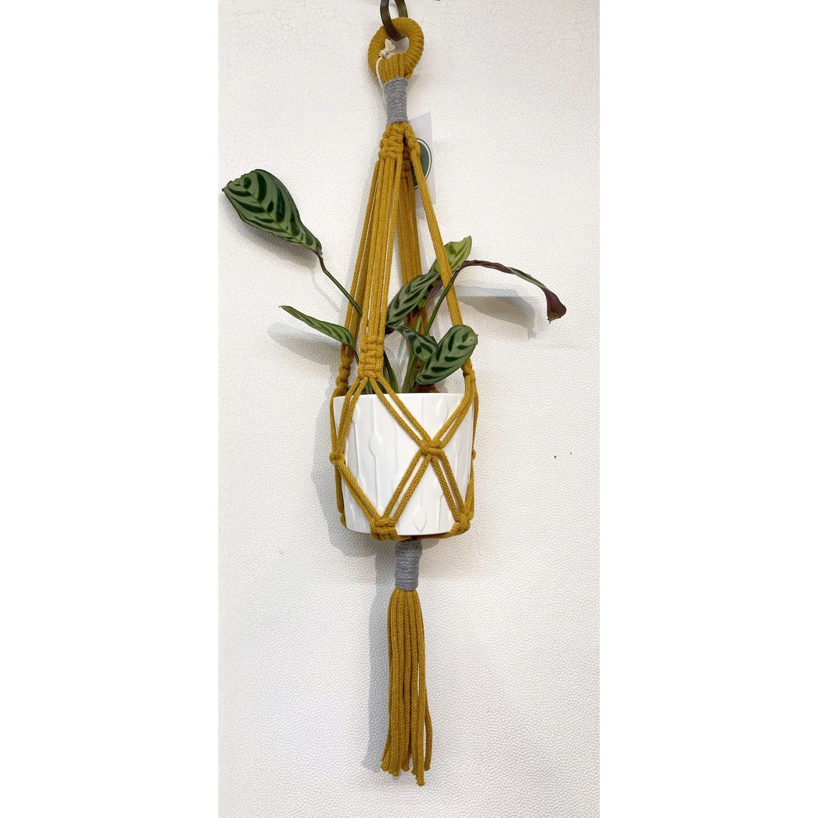 Whitagram-Image 322.JPG