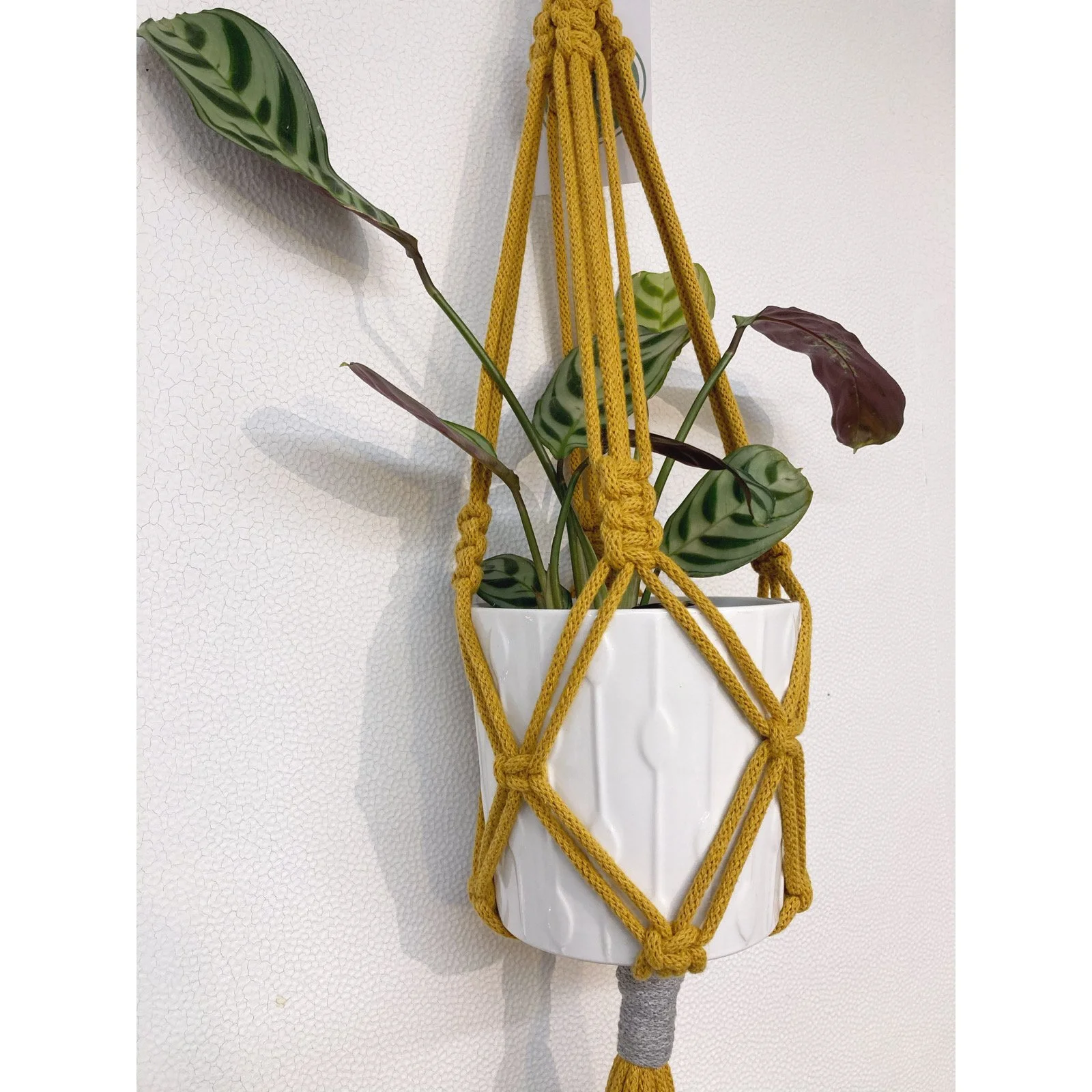 Whitagram-Image 321.JPG