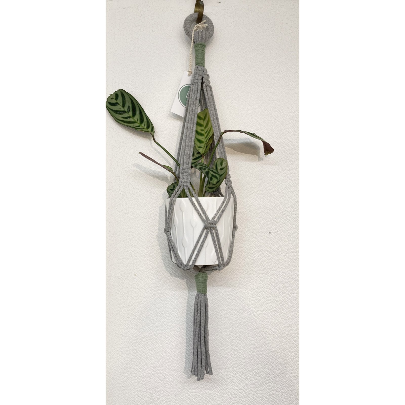 Whitagram-Image 319.JPG