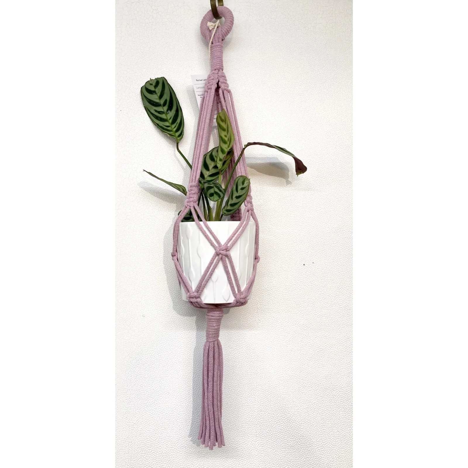 Whitagram-Image 318.JPG