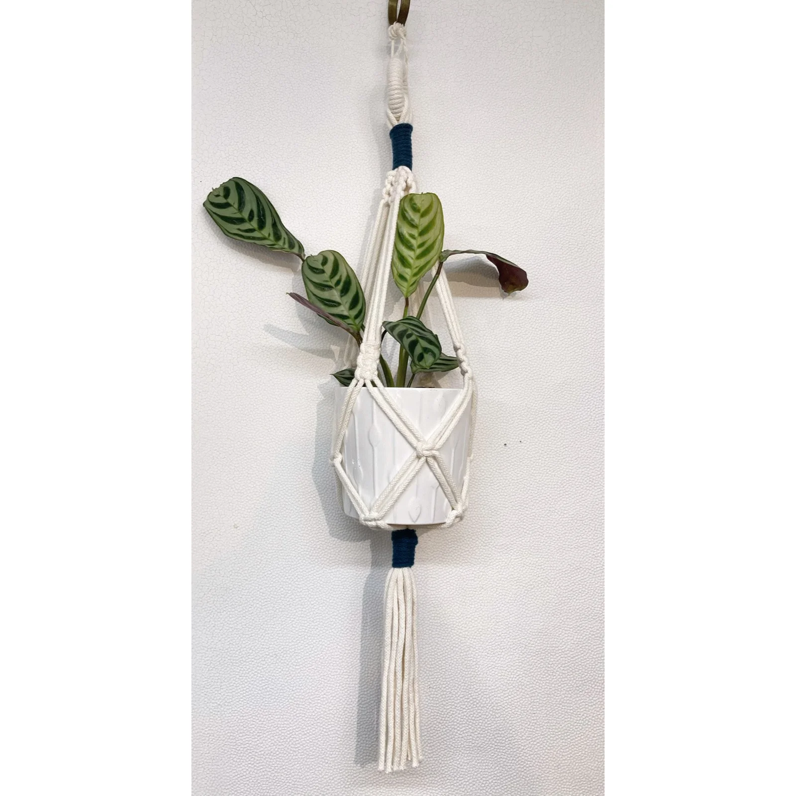 Whitagram-Image 327.JPG