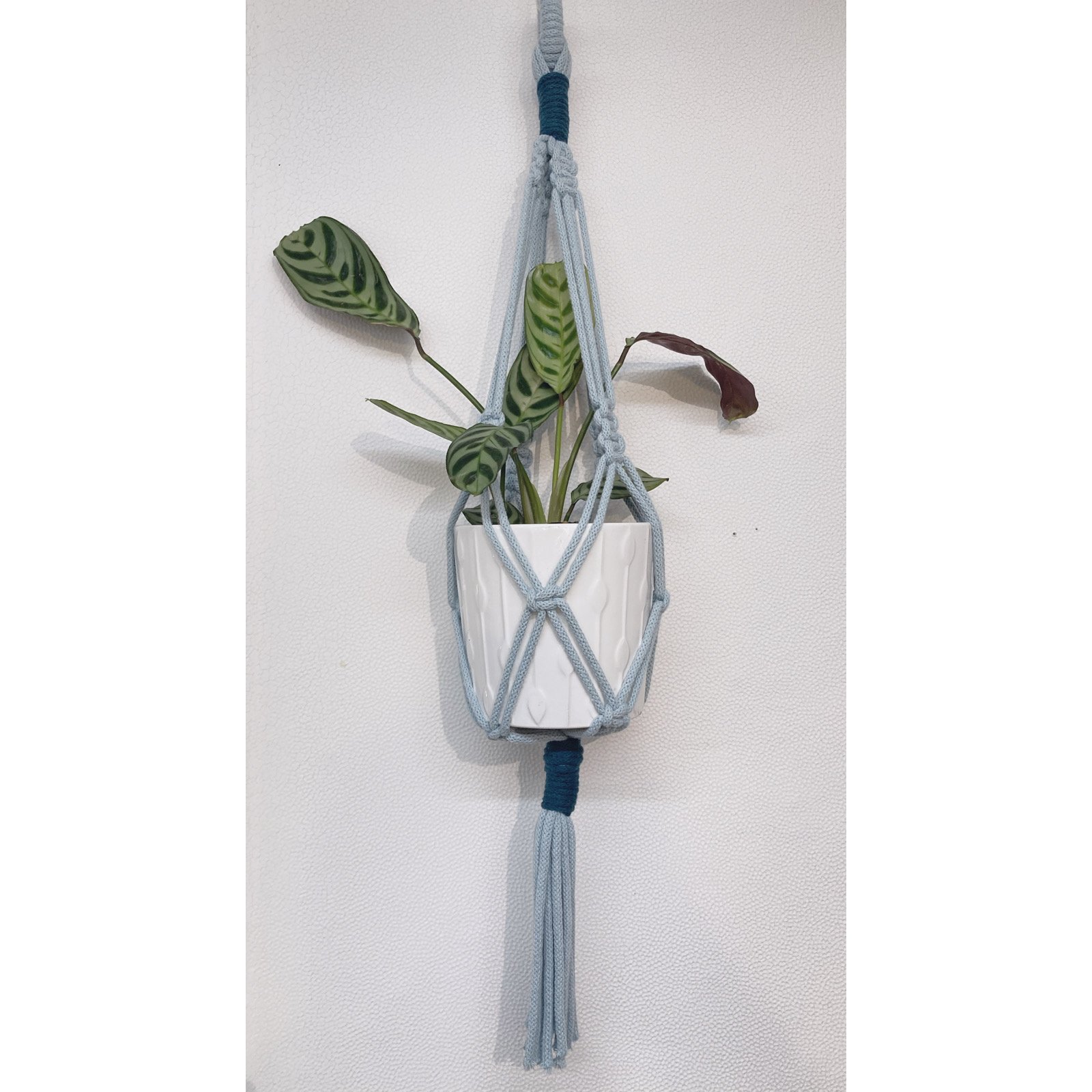 Whitagram-Image 326.JPG