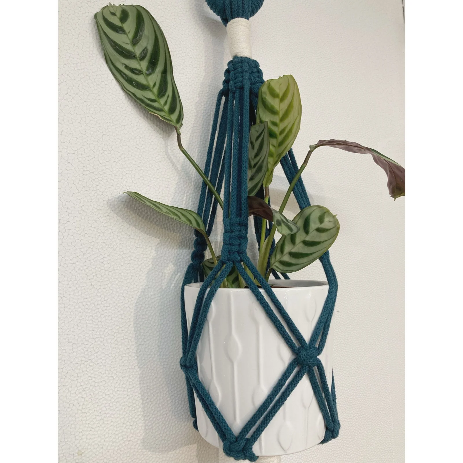 Whitagram-Image 324.JPG