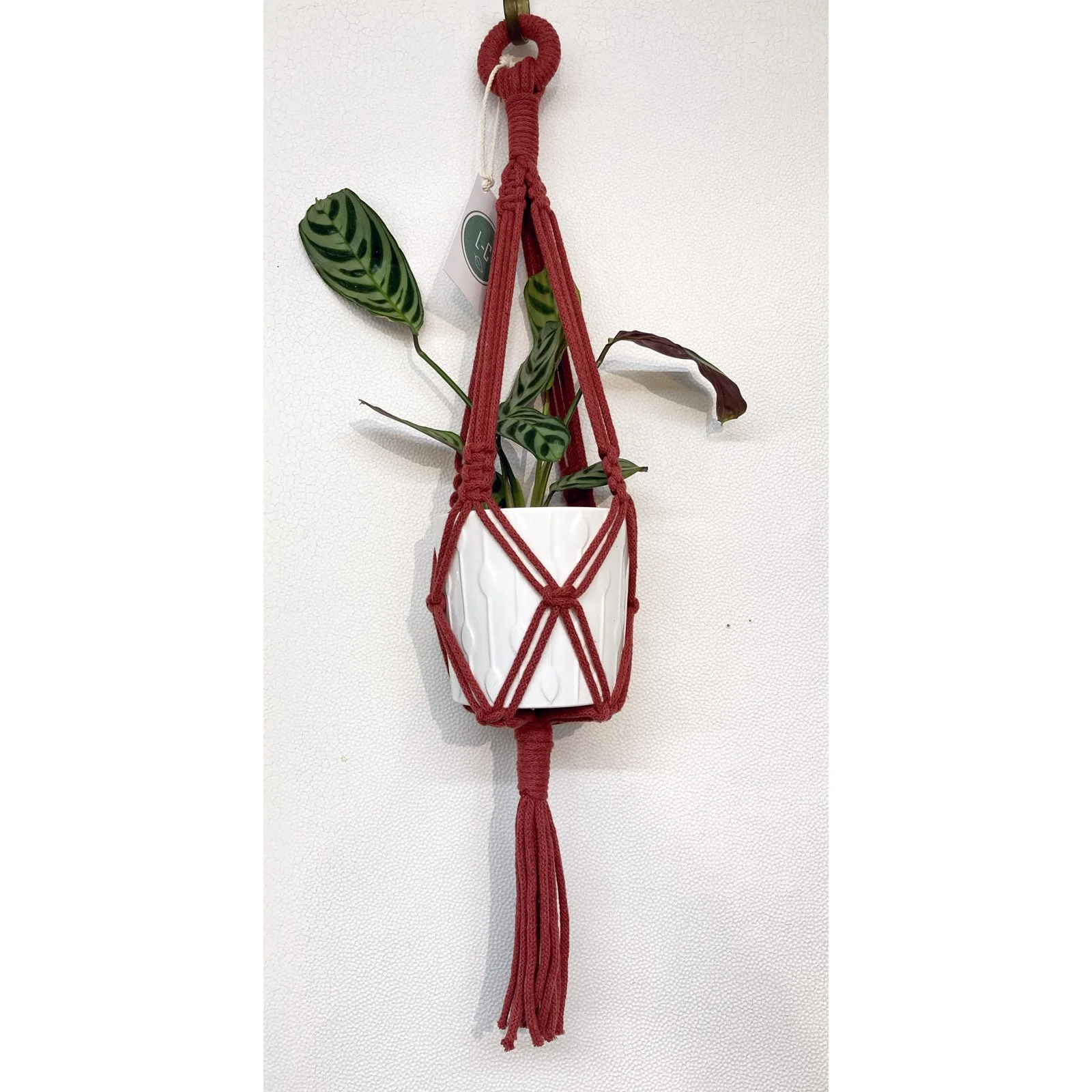 Whitagram-Image 323.JPG