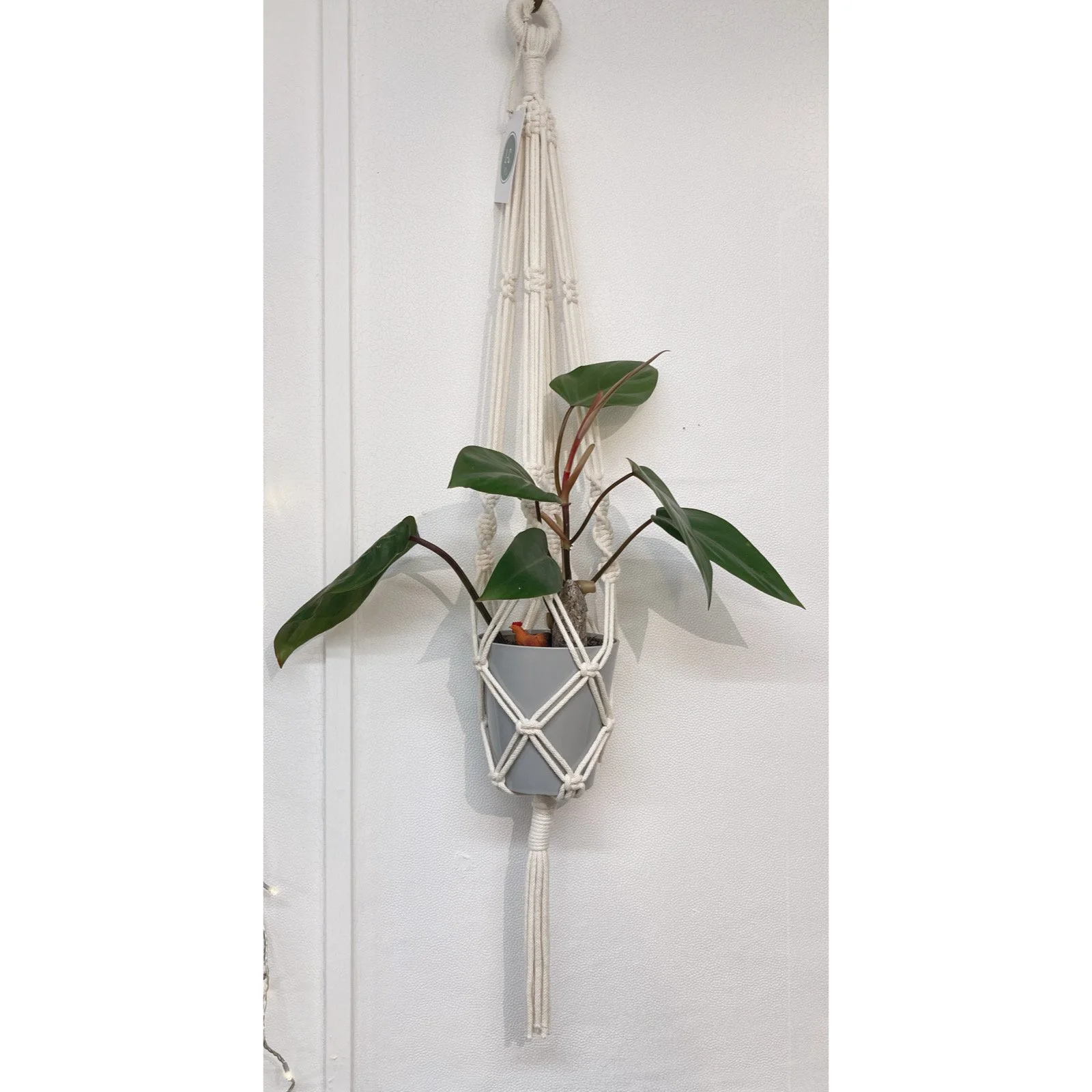 Whitagram-Image 336.JPG