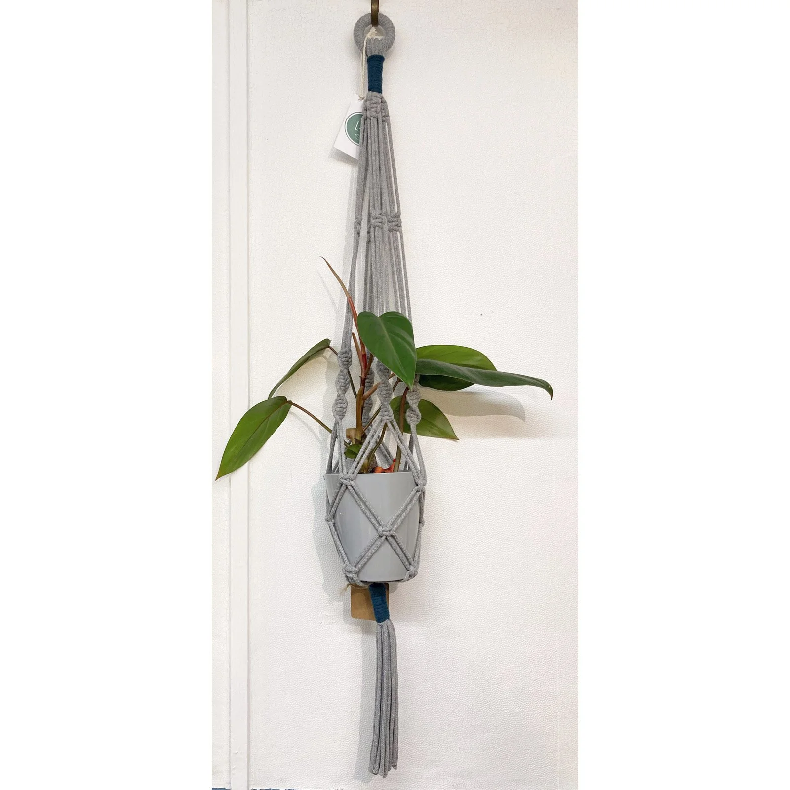 Whitagram-Image 337.JPG