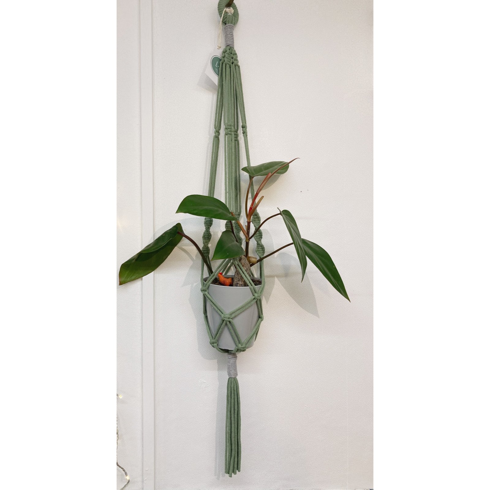 Whitagram-Image 335.JPG