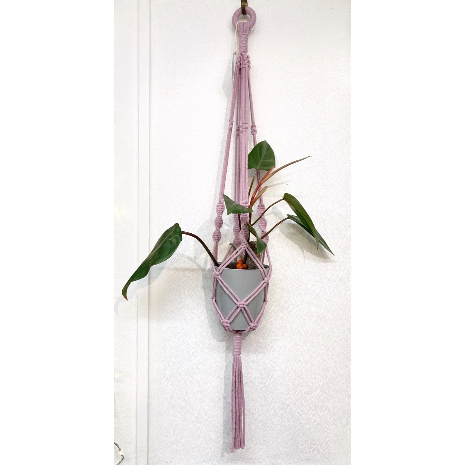 Whitagram-Image 334.JPG