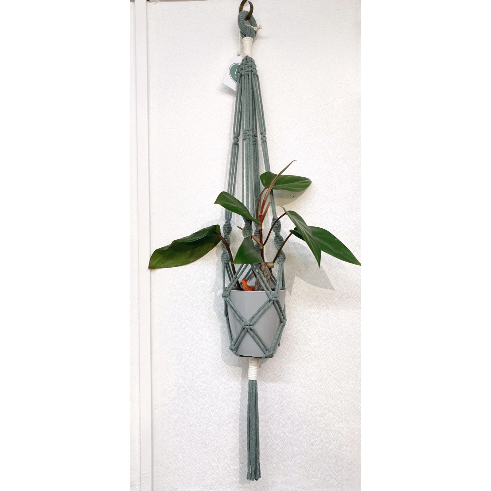 Whitagram-Image 333.JPG