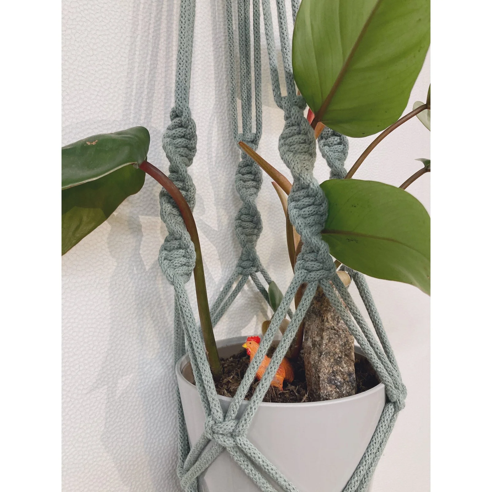 Whitagram-Image 332.JPG